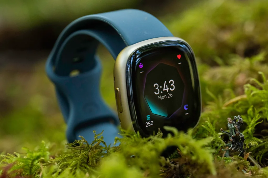 Fitbit Sense 2 Test: erstklassiges Gesundheits- und Fitness-Tracking, mit einigen Macken fitbit sense 2