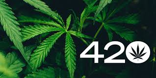 420 Meaning: So verstehen Sie 420 für Ihre Kinder im Teenageralter 420 meaning