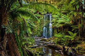 Minecraft-Biome erklärt: Pilzbiom! Biome