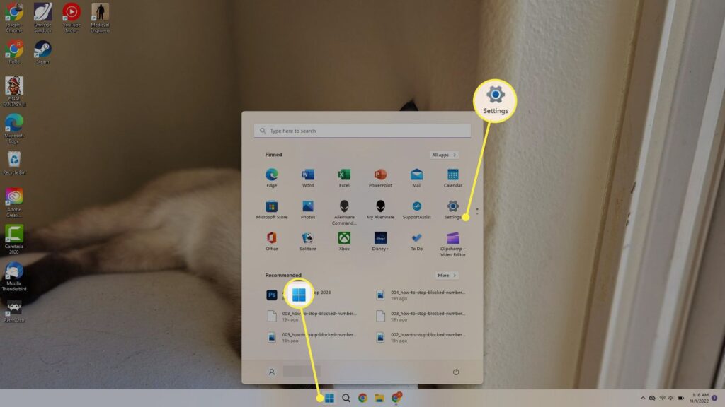 So ändern Sie den Cursor in Windows 11 Cursor
