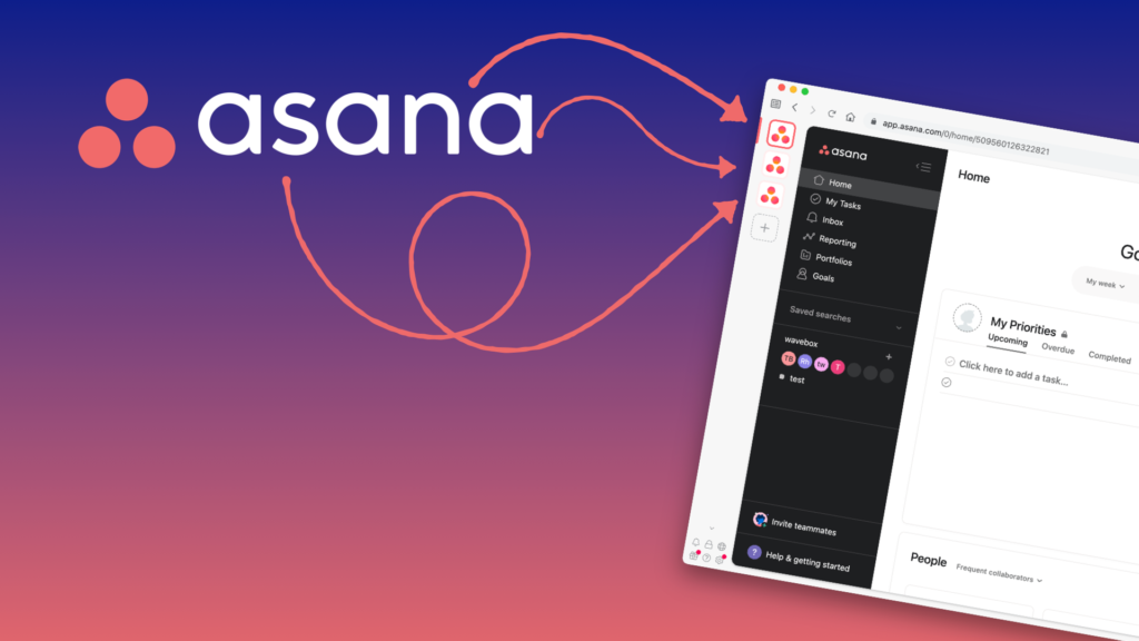 Asana With Multiple Accounts