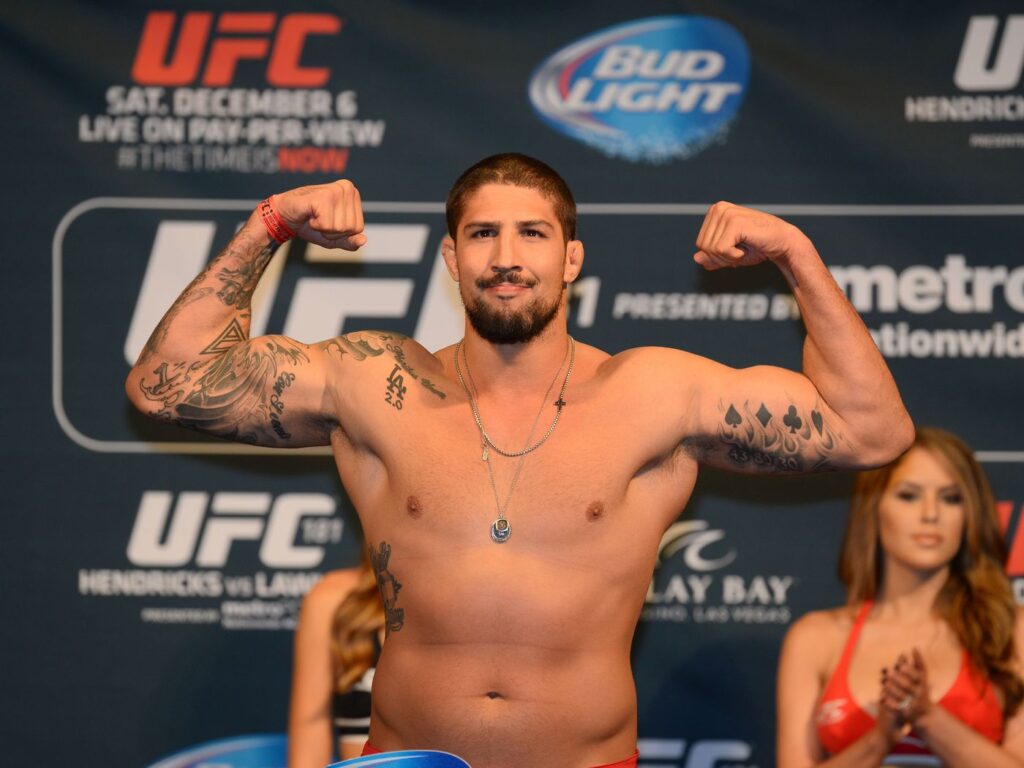 brendan schaub